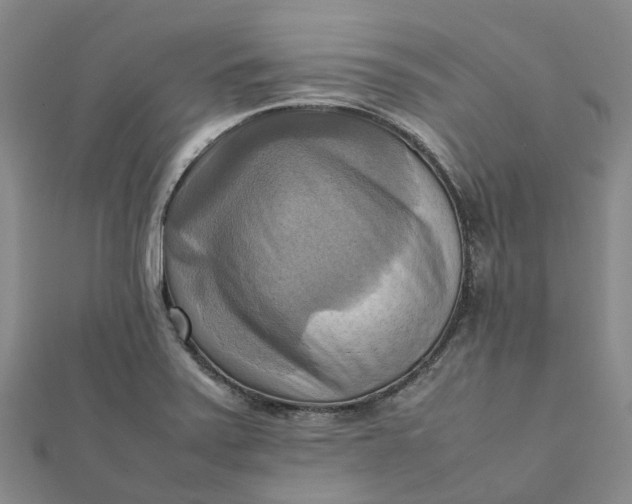 X0000112091371200908251118