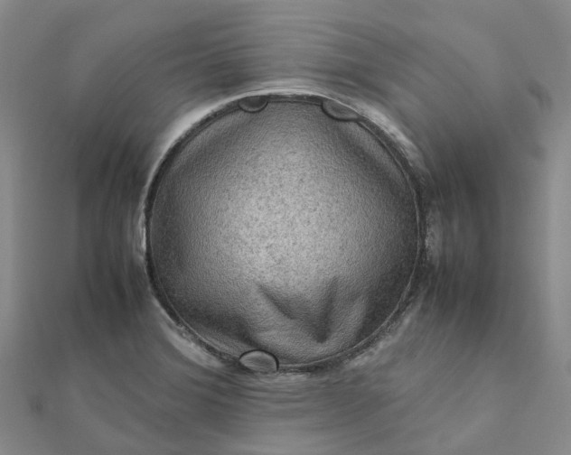 X0000112091372200908251118