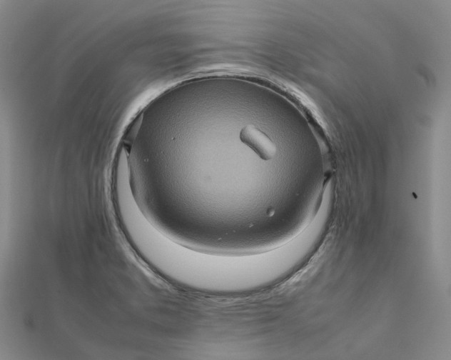 X0000112091373200908251118