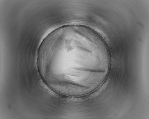 X0000112091374200908251118