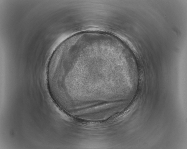 X0000112091375200908251118