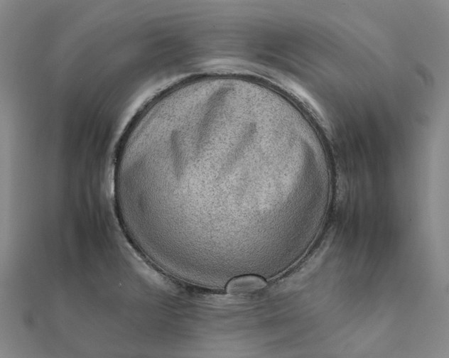 X0000112091376200908251118