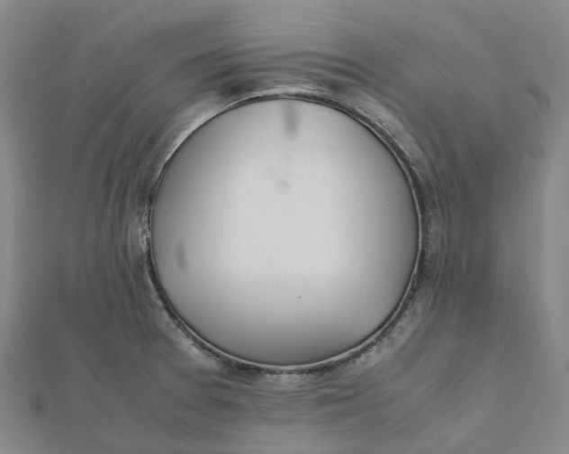 X0000112091377200908251118