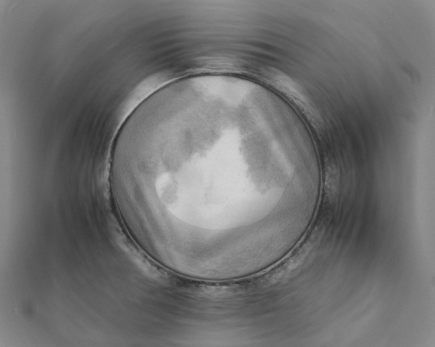 X0000112091378200908251118