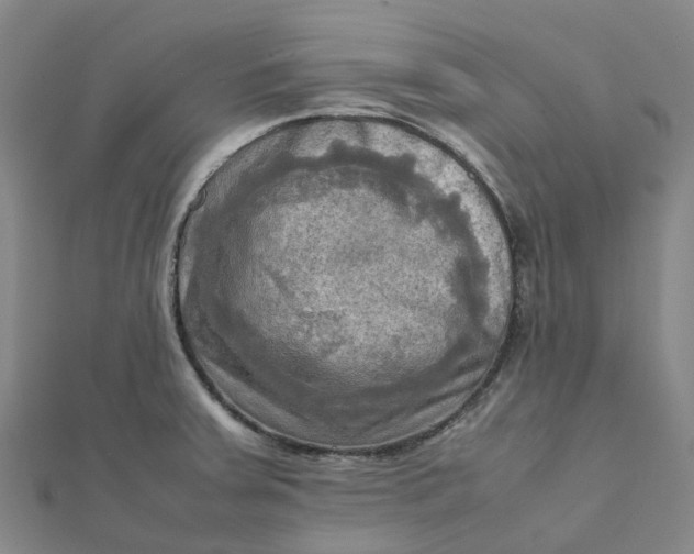 X0000112091379200908251118