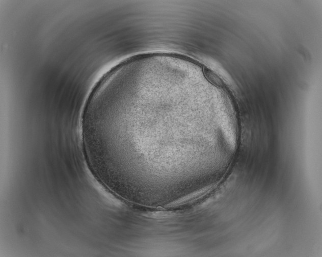 X0000112091380200908251118