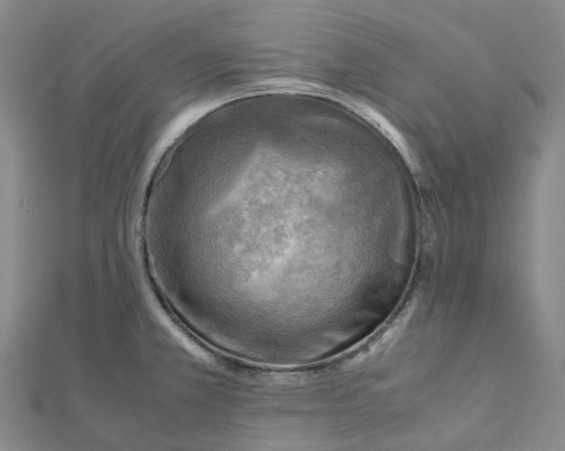 X0000112091381200908251118