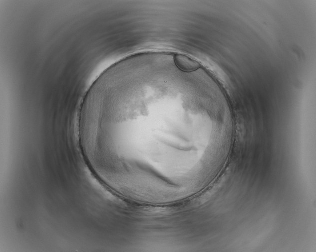 X0000112091382200908251118