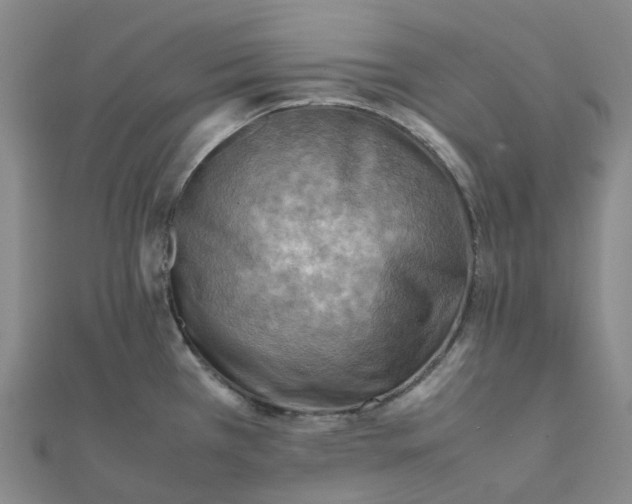 X0000112091385200908251118