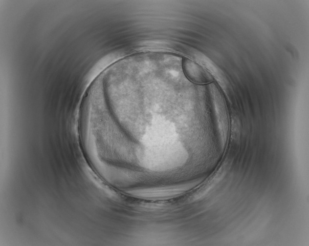 X0000112091386200908251118