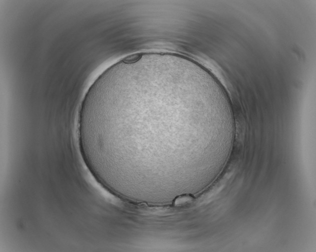 X0000112091387200908251118