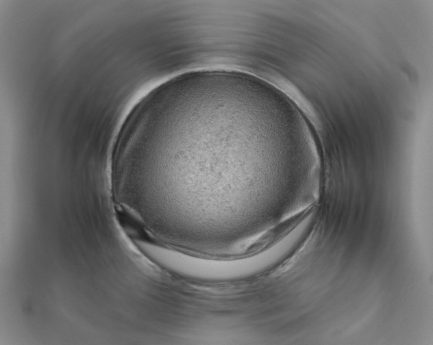 X0000112091388200908251118