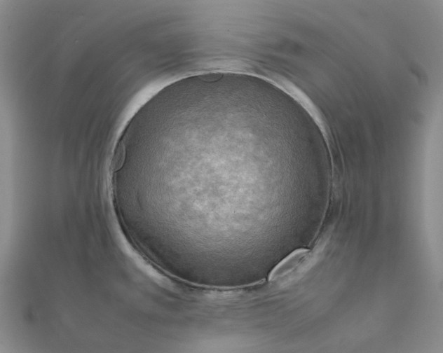 X0000112091389200908251118