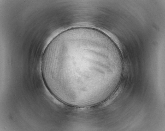 X0000112091390200908251118