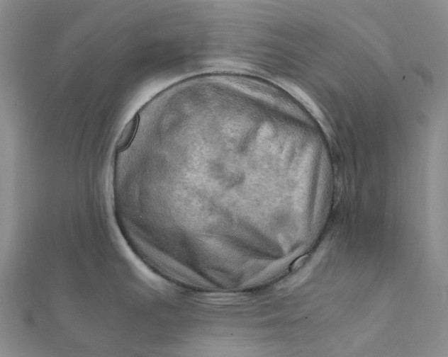 X0000112091391200908251118