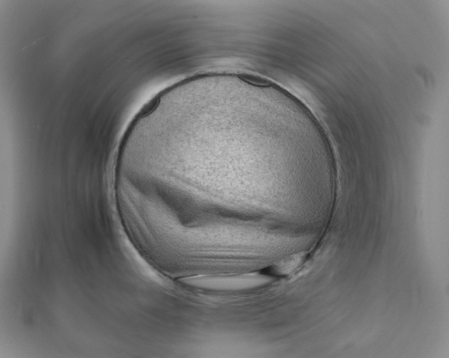 X0000112091392200908251118