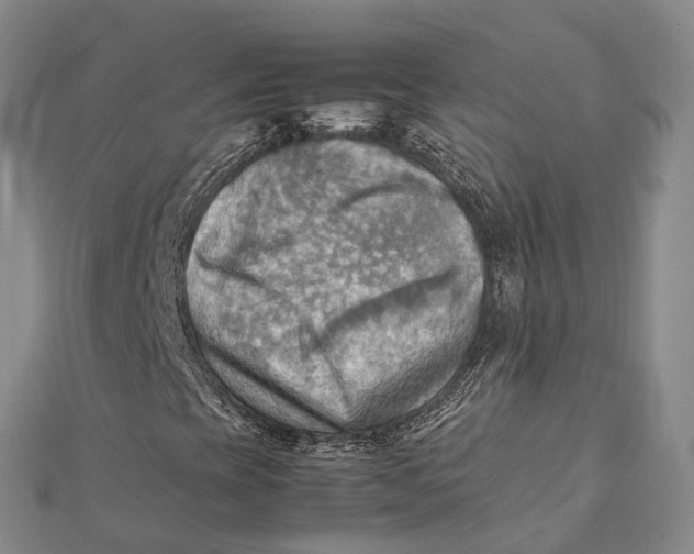 X0000112091393200908251117