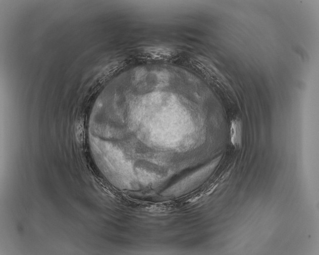 X0000112091395200908251117