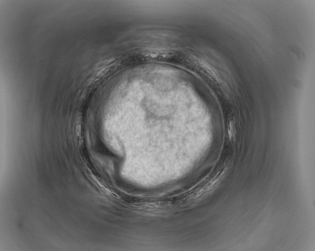 X0000112091396200908251117