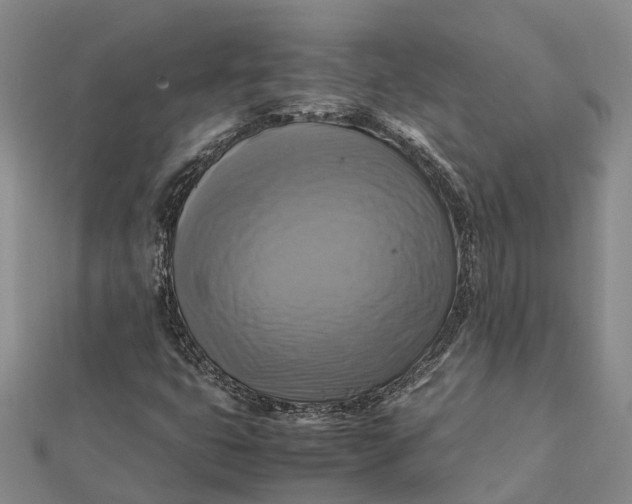 X0000112091399200908251117