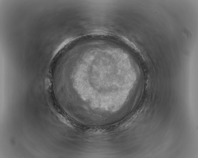 X0000112091400200908251117