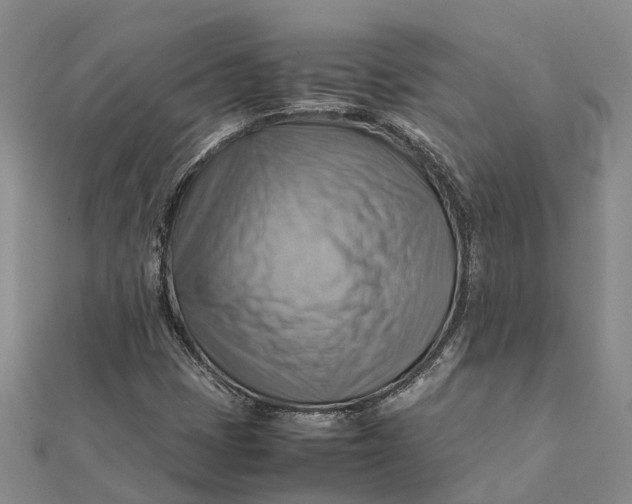 X0000112091401200908251117