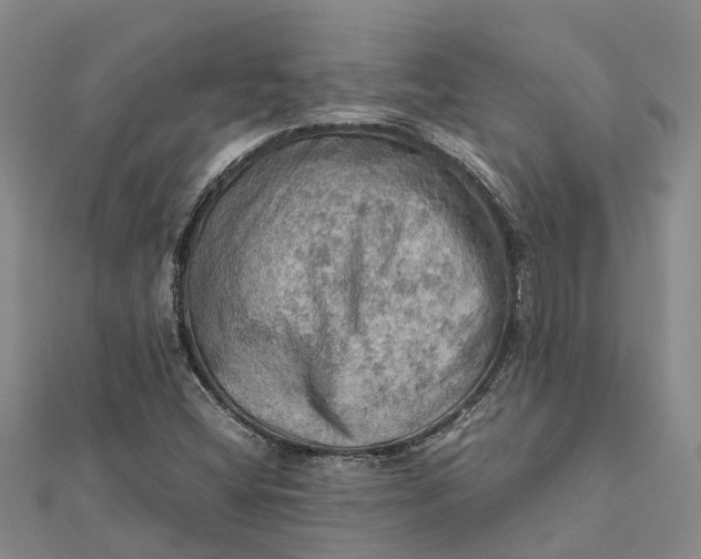 X0000112091404200908251117