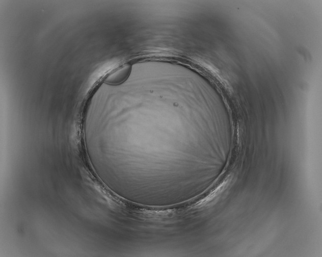 X0000112091405200908251117