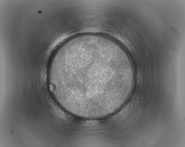 X0000112091406200908251117