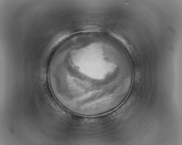 X0000112091407200908251117