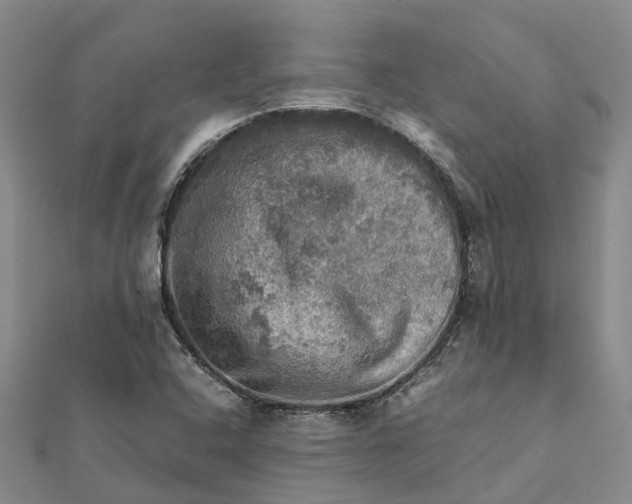 X0000112091408200908251117