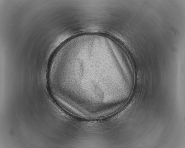 X0000112091410200908251117