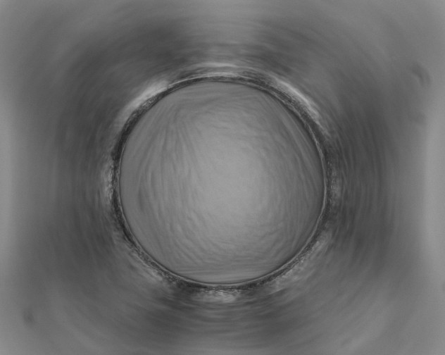 X0000112091411200908251117