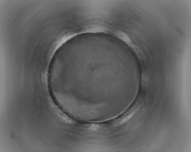 X0000112091412200908251117