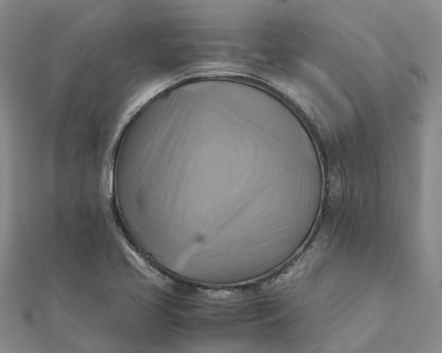 X0000112091413200908251118