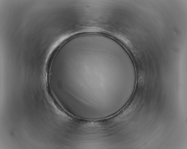 X0000112091414200908251118