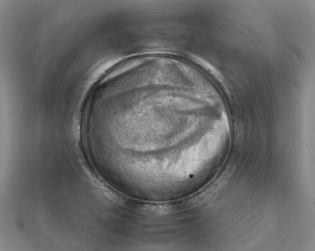 X0000112091415200908251118