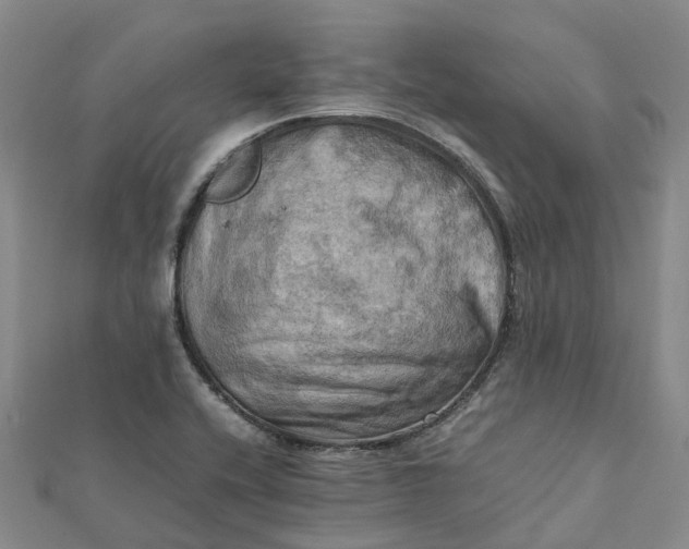 X0000112091416200908251118