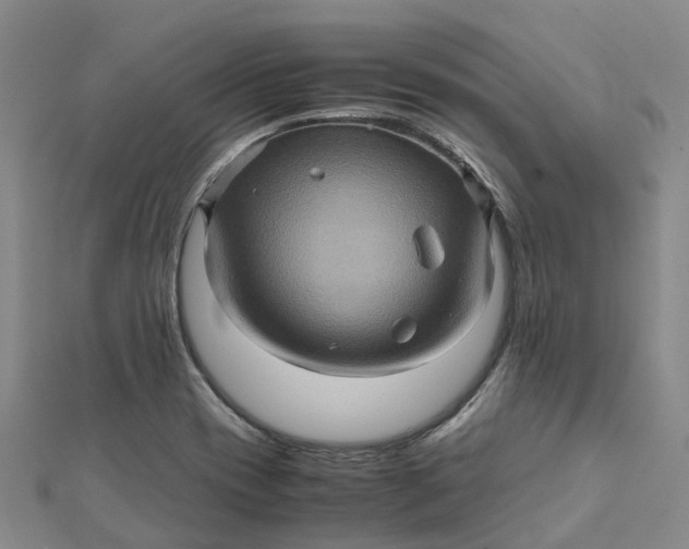 X0000112091417200908251118