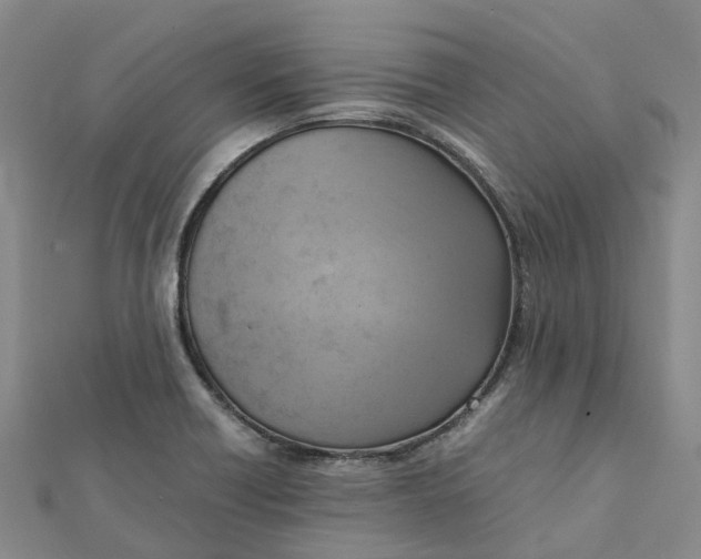 X0000112091418200908251118