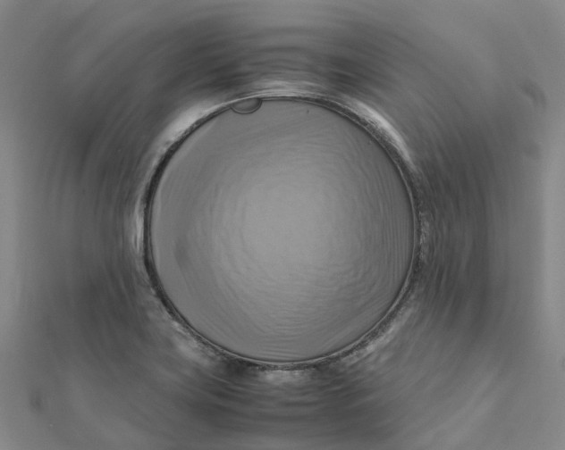 X0000112091419200908251118