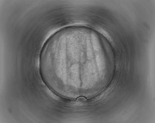 X0000112091420200908251118