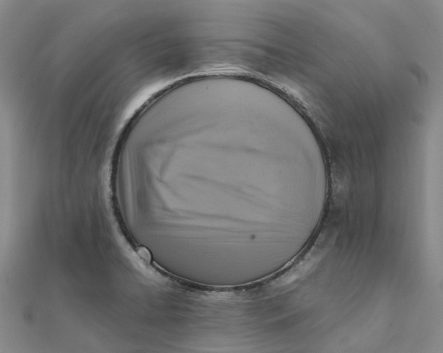 X0000112091422200908251118