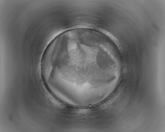 X0000112091423200908251118