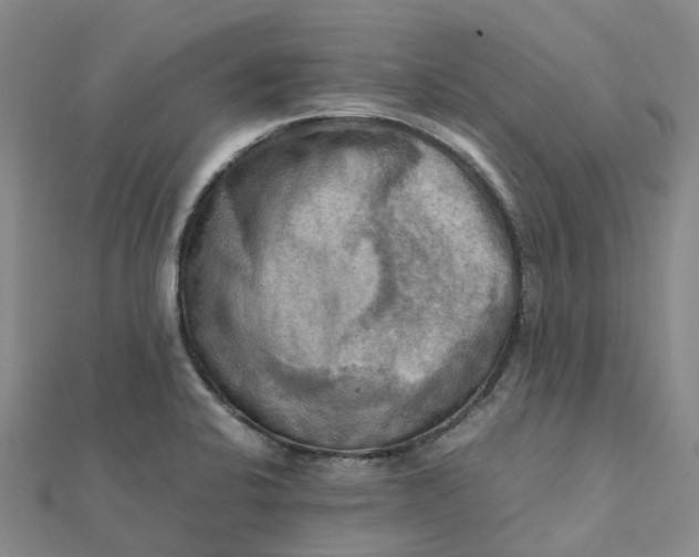 X0000112091424200908251118