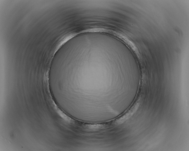 X0000112091425200908251118