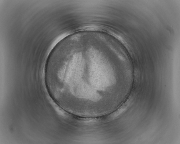 X0000112091426200908251118