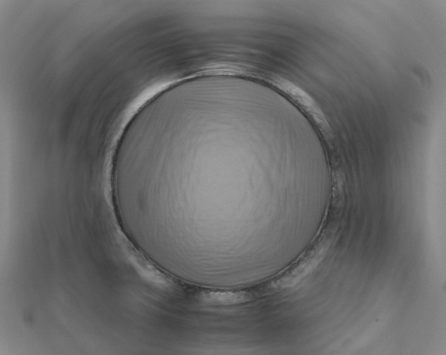 X0000112091427200908251118