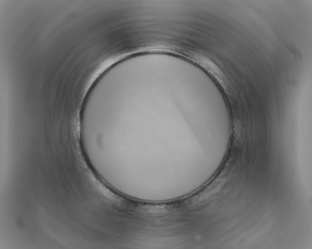 X0000112091428200908251118