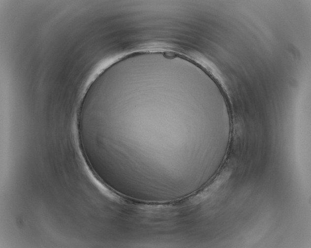 X0000112091429200908251118